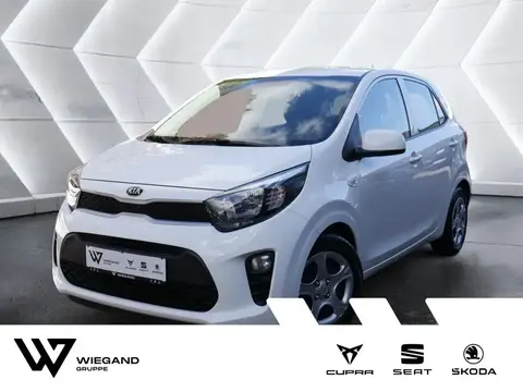 Used KIA PICANTO Petrol 2018 Ad 