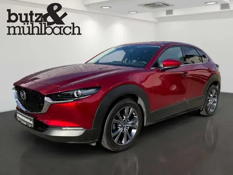 Annonce MAZDA CX-30 Essence 2020 d'occasion 