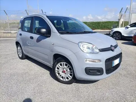 Annonce FIAT PANDA Hybride 2022 d'occasion 