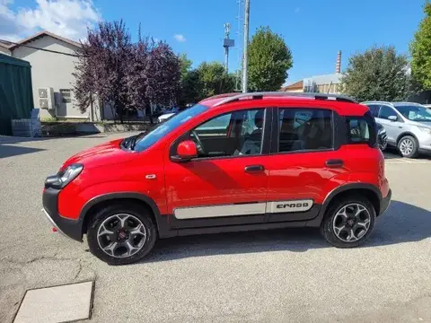 Used FIAT PANDA Hybrid 2022 Ad 