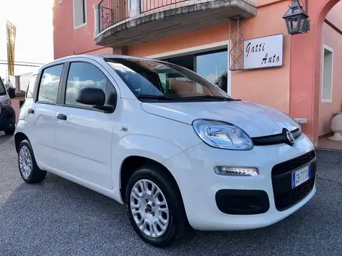 Annonce FIAT PANDA Essence 2020 d'occasion 