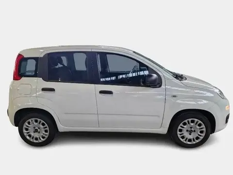 Used FIAT PANDA Petrol 2020 Ad 