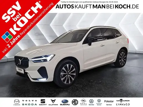 Annonce VOLVO XC60 Diesel 2023 d'occasion 