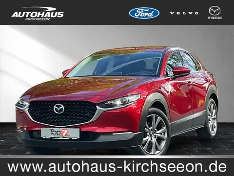 Used MAZDA CX-30 Petrol 2024 Ad Germany