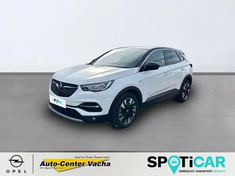 Used OPEL GRANDLAND Petrol 2020 Ad 