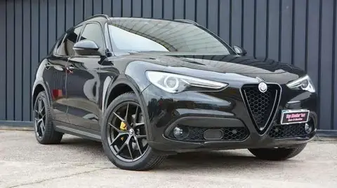 Used ALFA ROMEO STELVIO Diesel 2019 Ad 