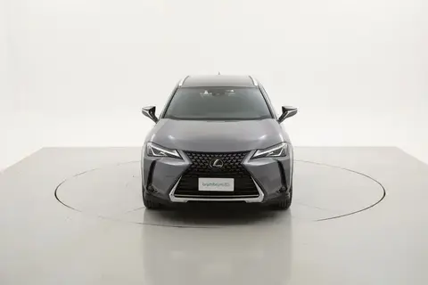 Used LEXUS UX Hybrid 2019 Ad 