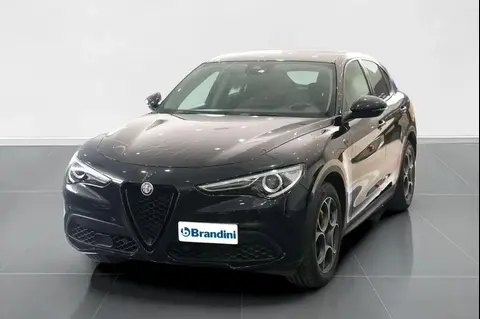 Used ALFA ROMEO STELVIO Diesel 2021 Ad 