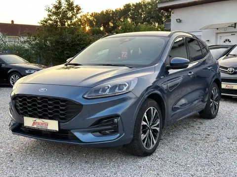 Annonce FORD KUGA Diesel 2022 d'occasion 