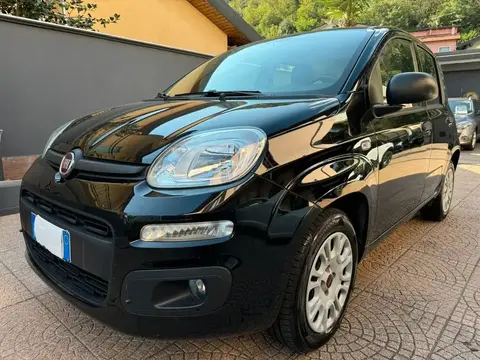 Used FIAT PANDA Petrol 2020 Ad 