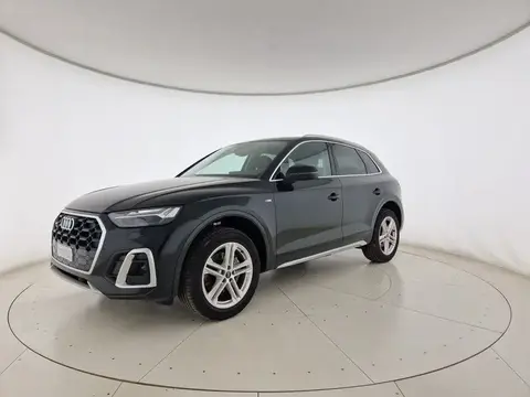 Used AUDI Q5  2023 Ad 