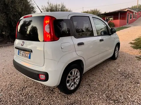 Used FIAT PANDA Diesel 2016 Ad 