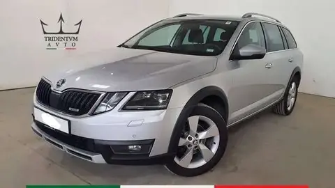 Used SKODA OCTAVIA Diesel 2019 Ad 