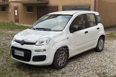 Used FIAT PANDA Hybrid 2020 Ad 