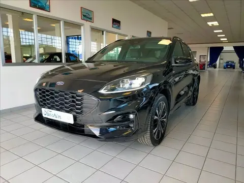 Used FORD KUGA Hybrid 2022 Ad 