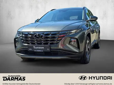 Used HYUNDAI TUCSON Hybrid 2023 Ad 