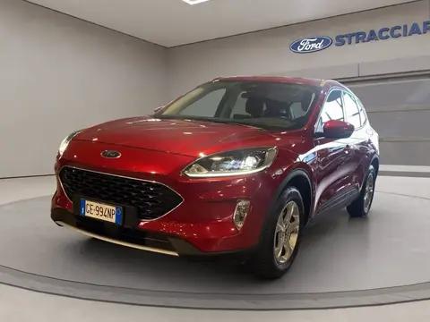 Used FORD KUGA Diesel 2021 Ad 