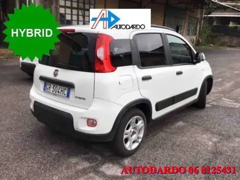 Annonce FIAT PANDA Hybride 2023 d'occasion 