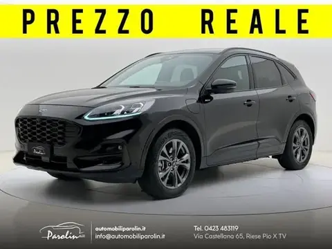 Used FORD KUGA Hybrid 2021 Ad 