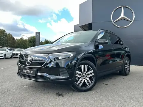 Used MERCEDES-BENZ EQA Not specified 2023 Ad 