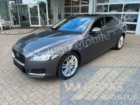 Used JAGUAR XF Diesel 2015 Ad 