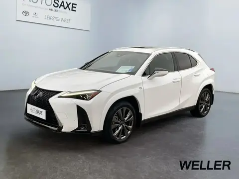 Used LEXUS UX Hybrid 2023 Ad 