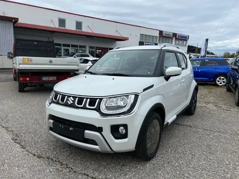 Used SUZUKI IGNIS Petrol 2024 Ad 