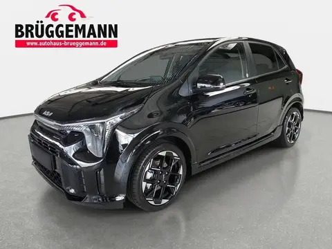 Annonce KIA PICANTO Essence 2024 d'occasion 