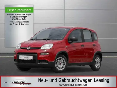 Used FIAT PANDA Petrol 2024 Ad 