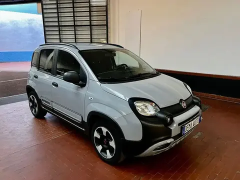 Annonce FIAT PANDA Essence 2019 d'occasion 