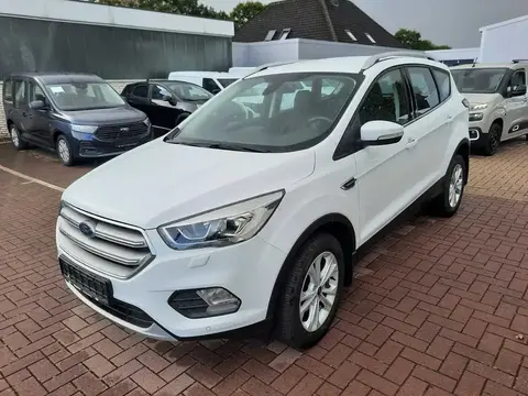 Used FORD KUGA Petrol 2019 Ad 