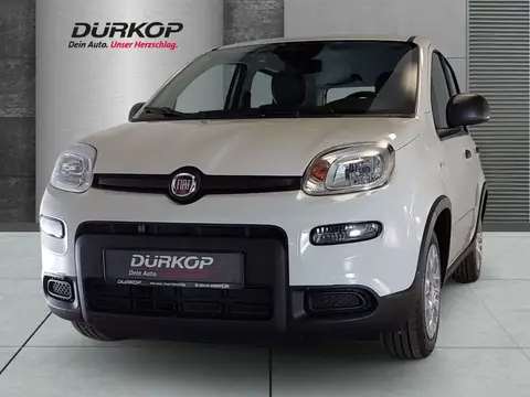 Used FIAT PANDA Petrol 2024 Ad 