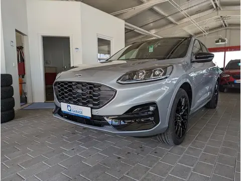 Used FORD KUGA Hybrid 2023 Ad 