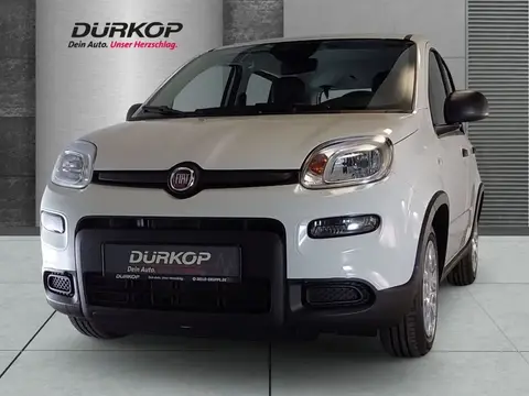 Used FIAT PANDA Petrol 2024 Ad 