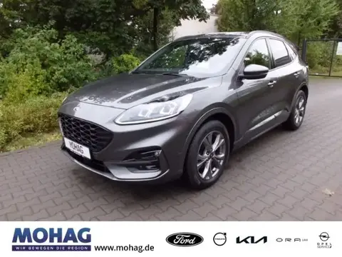 Used FORD KUGA Petrol 2020 Ad 