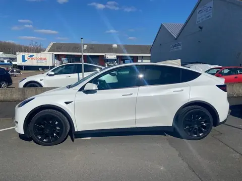 Used TESLA MODEL Y Not specified 2022 Ad 