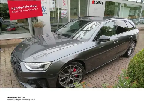 Annonce AUDI A4 Diesel 2019 d'occasion 