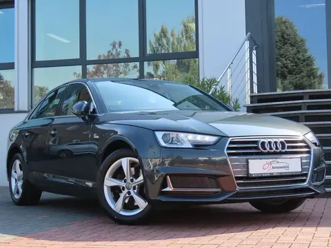 Annonce AUDI A4 Essence 2019 d'occasion 