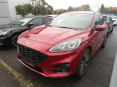 Annonce FORD KUGA Essence 2020 d'occasion 