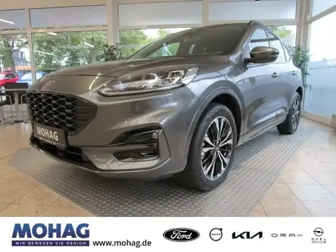 Used FORD KUGA Hybrid 2021 Ad 