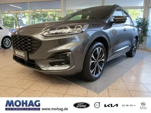 Used FORD KUGA Hybrid 2021 Ad 