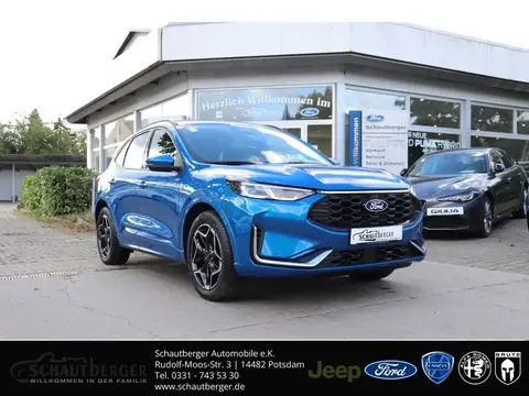 Used FORD KUGA Hybrid 2024 Ad 