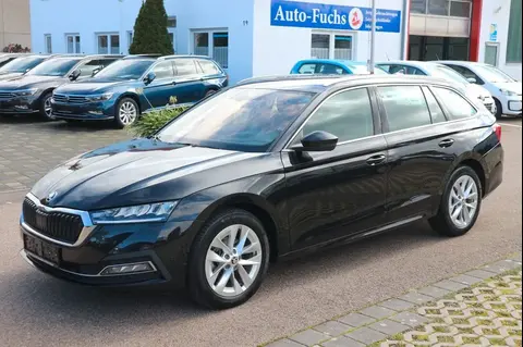 Used SKODA OCTAVIA Diesel 2020 Ad 