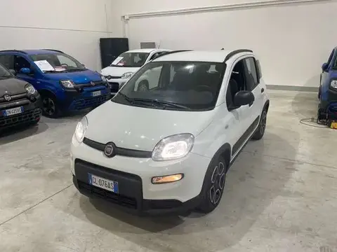 Used FIAT PANDA Hybrid 2022 Ad 