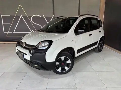 Used FIAT PANDA Petrol 2019 Ad 