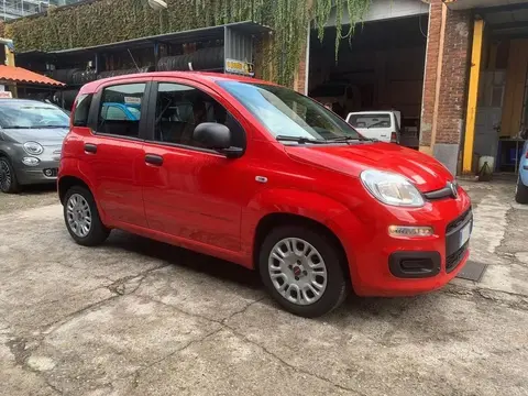 Used FIAT PANDA Hybrid 2022 Ad 