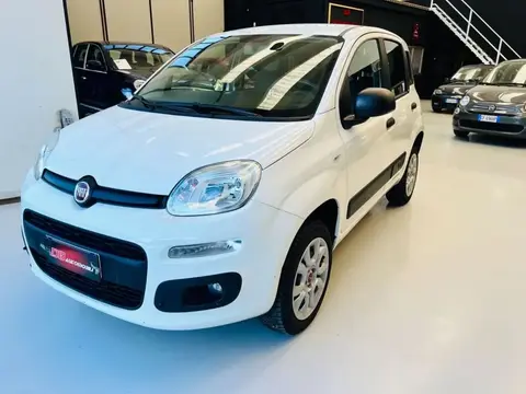 Used FIAT PANDA Petrol 2019 Ad 