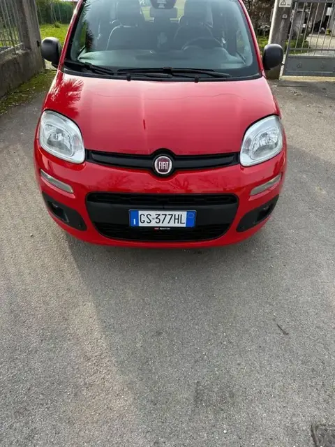 Used FIAT PANDA Petrol 2019 Ad 