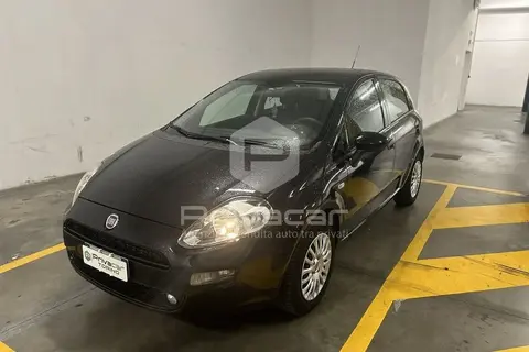 Used FIAT PUNTO Petrol 2016 Ad 