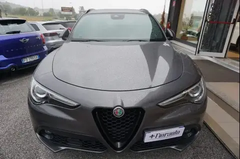 Used ALFA ROMEO STELVIO Diesel 2020 Ad 